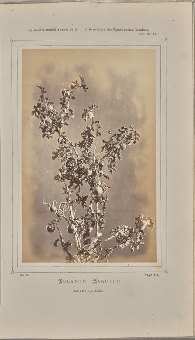  by W. de Bray