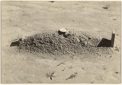 Bir Baptist Mezarı, Hale İlçesi, Alabama by Walker Evans