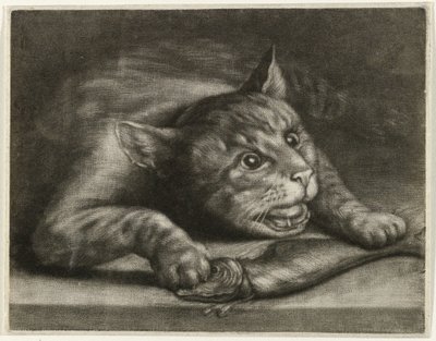 Bir balık ile kedi by Wallerant Vaillant