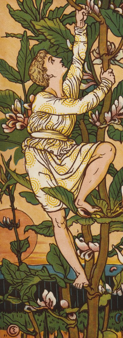 Jack ve fasulye sapı (renkli taş) by Walter Crane
