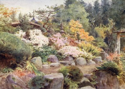 Nikko, Cosmos ve Maple