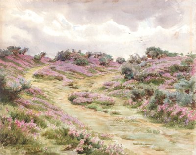 Setley Ovasında Çan Funda (suluboya) by Walter Frederick Roofe Tyndale