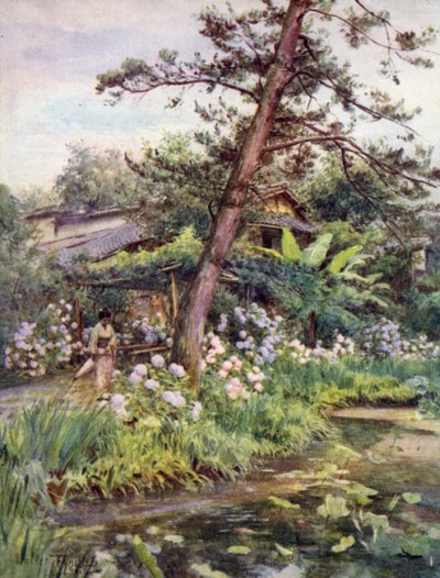 Nichi Otani, Kyoto