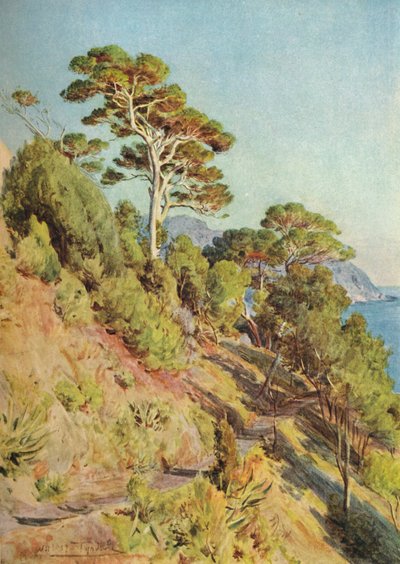 Villa Piuma