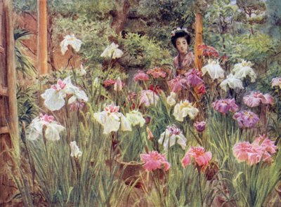 Numune Süsenleri by Walter Frederick Roofe Tyndale