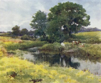 Yeni Orman: Lymington Nehri üzerinde (renkli taş) by Walter Frederick Roofe Tyndale