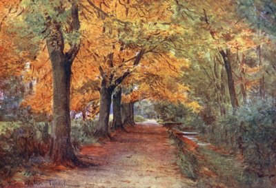 Wessex: Dorchester yakınlarındaki Bockhampton Bankası (renkli lito) by Walter Frederick Roofe Tyndale