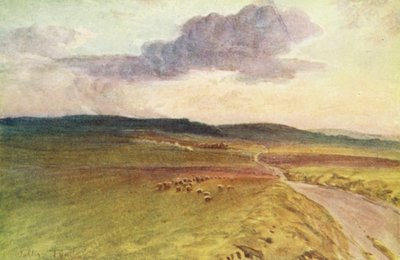 Wessex: Maiden Kalesi yakınlarında, Dorchester (renkli litografi) by Walter Frederick Roofe Tyndale