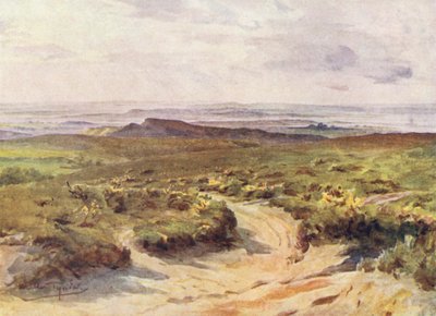Wessex: Studland Heath, Poole Limanı uzakta (renkli lito) by Walter Frederick Roofe Tyndale