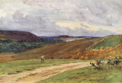 Wessex: Poole yakınlarındaki Broadstone Golf Links (renkli lito) by Walter Frederick Roofe Tyndale