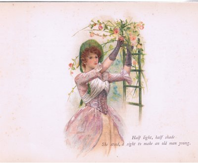 Yarı ışık, yarı gölge, EP Dutton & Co tarafından yayınlanan Tennyson Pictures