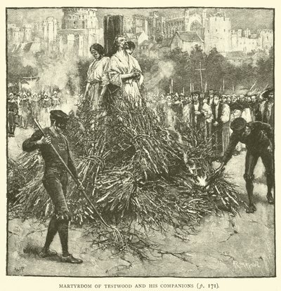 Testwood ve arkadaşlarının şehitliği by Walter Paget