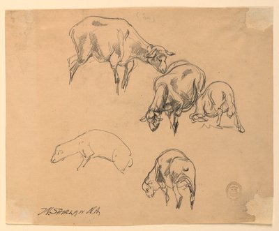 Koyun Çalışmaları by Walter Shirlaw