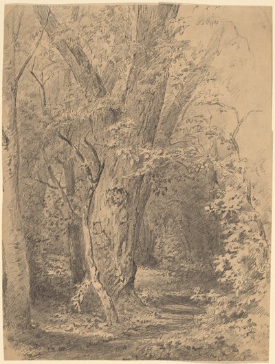 Ağaç ve Yeşillik by Walter Shirlaw