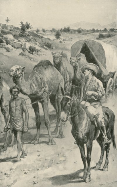 Bir Camel-Caravan, Batı Avustralya by Walter Stanley Paget