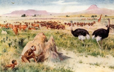 Bir Güney Afrika Ovası: Beyaz Adamın Gelmesinden Önce by Walter Stanley Paget