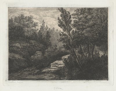 Selva (Orman) by Walter Teodoro Bosio
