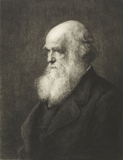 Charles Robert Darwin (gravür) by Walter William (after) Ouless