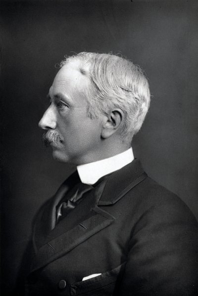 Garnet Joseph Wolseley, Vikont Wolseley, İrlanda doğumlu İngiliz askeri, c1890 by WandD Downey