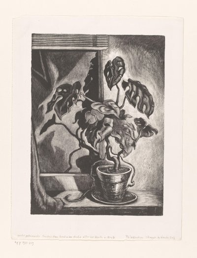 Pencere çerçevesindeki Philodendron by Wanda Gág