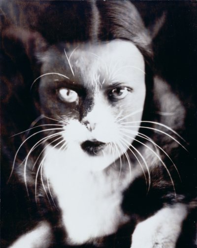  by Wanda Wulz