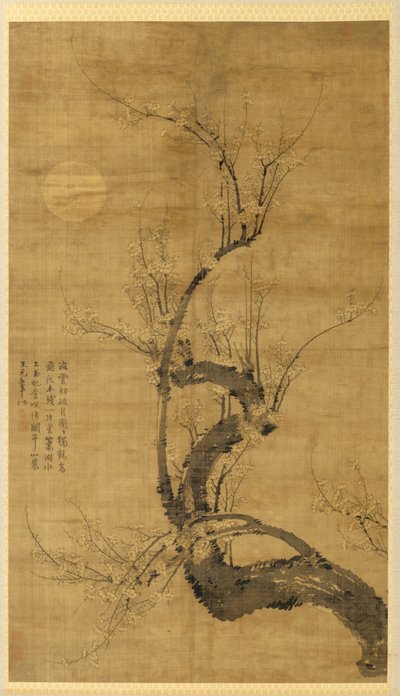 Ay Işığında Bir Prunus by Wang Mian