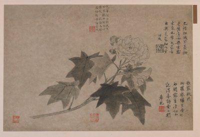 Hibiskus, 1347. by Wang Yuan