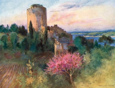  by Warwick (after) Goble