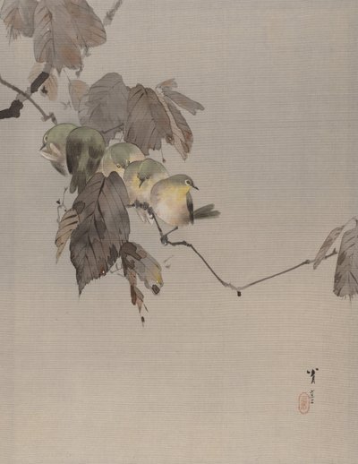 Daldaki Kuşlar, ca. 1887. by Watanabe Seitei