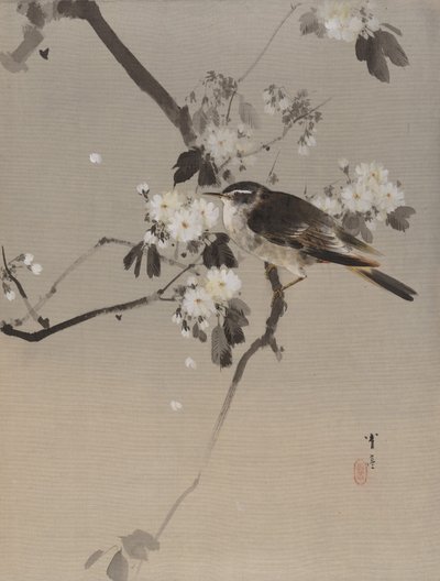 Çiçekli Daldaki Kuşlar, yak. 1887. by Watanabe Seitei