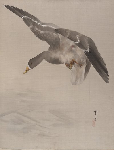 Ördek, ca. 1887. by Watanabe Seitei