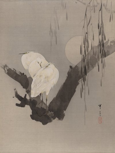 Geceleri Bir Ağaçta Ak balıkçıl, yaklaşık. 1887. by Watanabe Seitei
