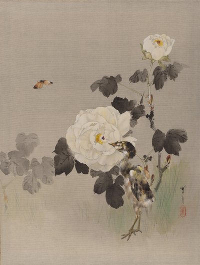 Güller, Genç Kuş ve Kelebek, yak. 1887. by Watanabe Seitei