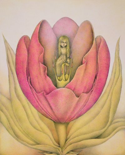  by Wayne Anderson