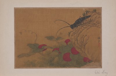 Kayadaki Çekirge, 15. yüzyıl. by Wen Liang