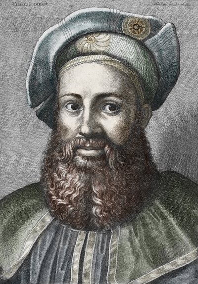 Pietro Aretino'nun Portresi (1492-1556) (Aretin), İtalyan şair (Portrait of İtalyan şair Pietro Aretino) Gravür Özel Koleksiyon by Wenceslaus (after) Hollar