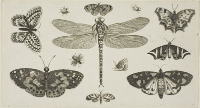  by Wenceslaus Hollar
