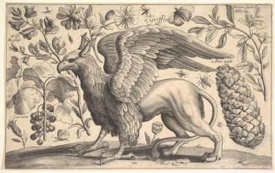 Bir Griffin, 1625-77. by Wenceslaus Hollar