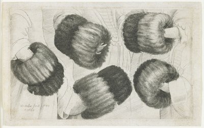 Beş Görünümde Bir Muff, 1645-1646 by Wenceslaus Hollar