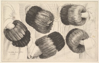 Beş Görünümde Bir Muff, 1645-46. by Wenceslaus Hollar