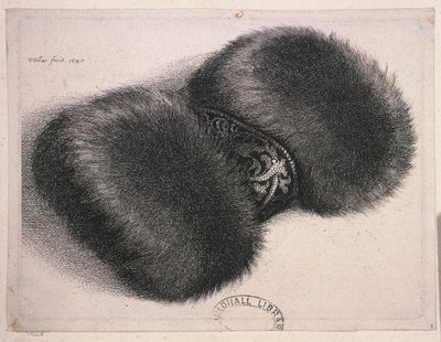 Bir bant brokar ile büyük bir manşon, 1647 by Wenceslaus Hollar