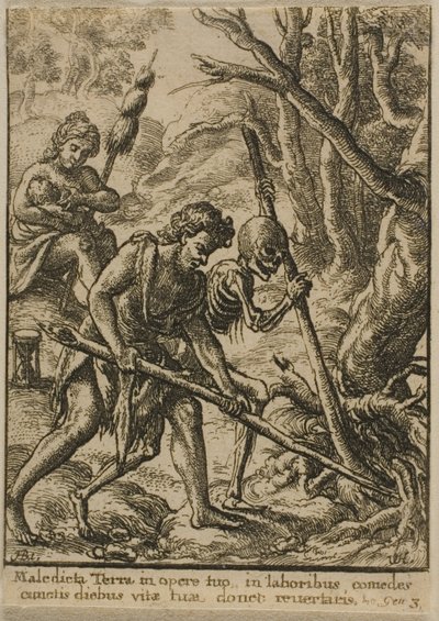adam çiftçilik by Wenceslaus Hollar