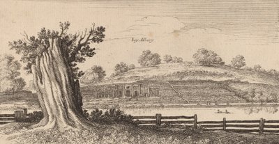 Albury, 1645. by Wenceslaus Hollar