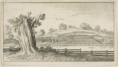 Ön planda ağaç kütüğü olan Albury by Wenceslaus Hollar