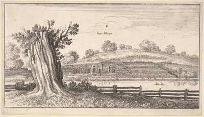 Ön planda ağaç kütüğü olan Albury, 1625-77. by Wenceslaus Hollar