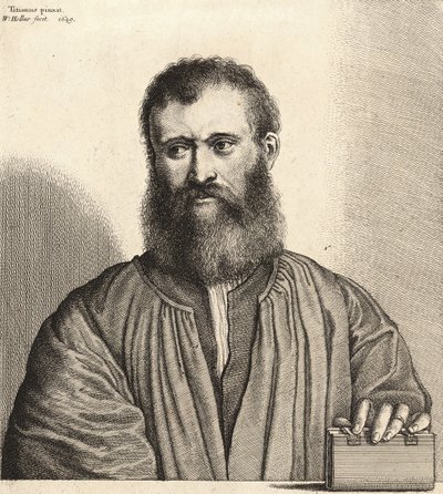 Altoviti veya Evin. durum 3 by Wenceslaus Hollar