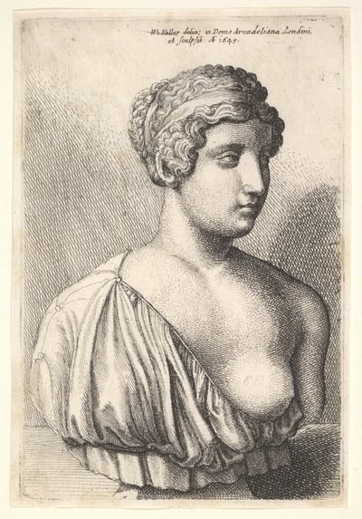 Antika bir kadın büstü, 1645. by Wenceslaus Hollar