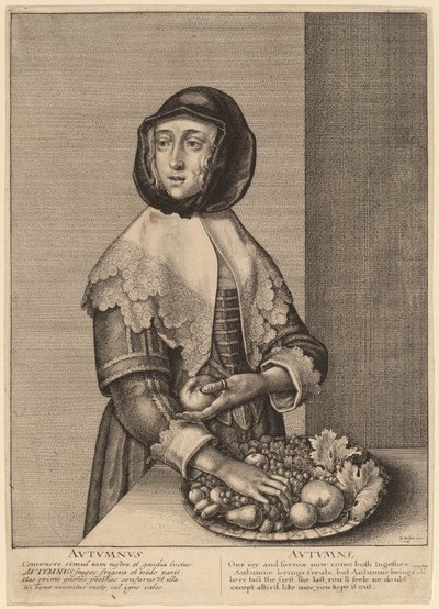 Sonbahar by Wenceslaus Hollar