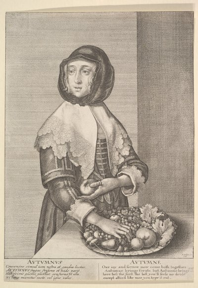 Autumnus - Sonbahar Üç çeyrek uzunluktaki mevsimler, 1641. by Wenceslaus Hollar