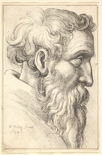 Sağdaki profilde sakallı yaşlı adam, 1645. by Wenceslaus Hollar